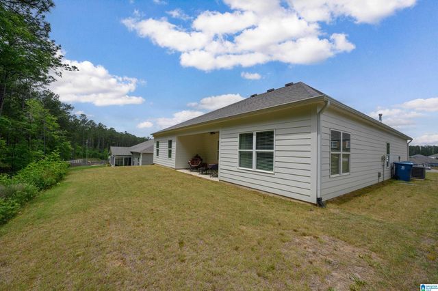 709 FISH CAMP ROAD, Chelsea, AL 35043