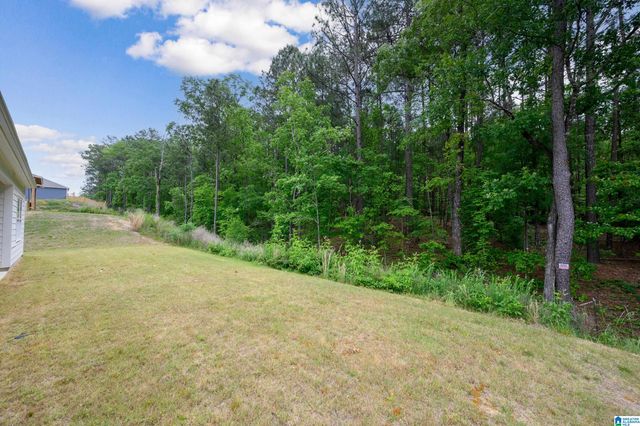 709 FISH CAMP ROAD, Chelsea, AL 35043