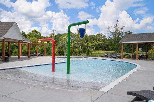 709 FISH CAMP ROAD, Chelsea, AL 35043