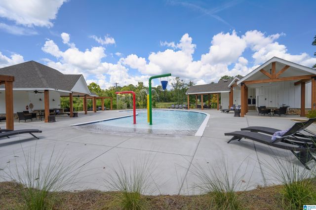 709 FISH CAMP ROAD, Chelsea, AL 35043