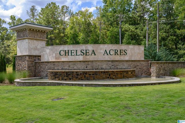 709 FISH CAMP ROAD, Chelsea, AL 35043