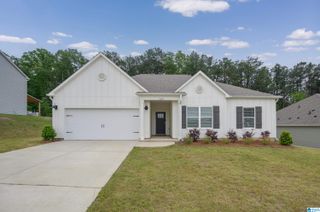 709 FISH CAMP ROAD, Chelsea, AL 35043