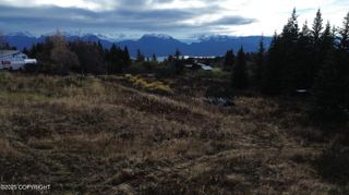 32760 Falls Creek Road, Homer, AK 99603