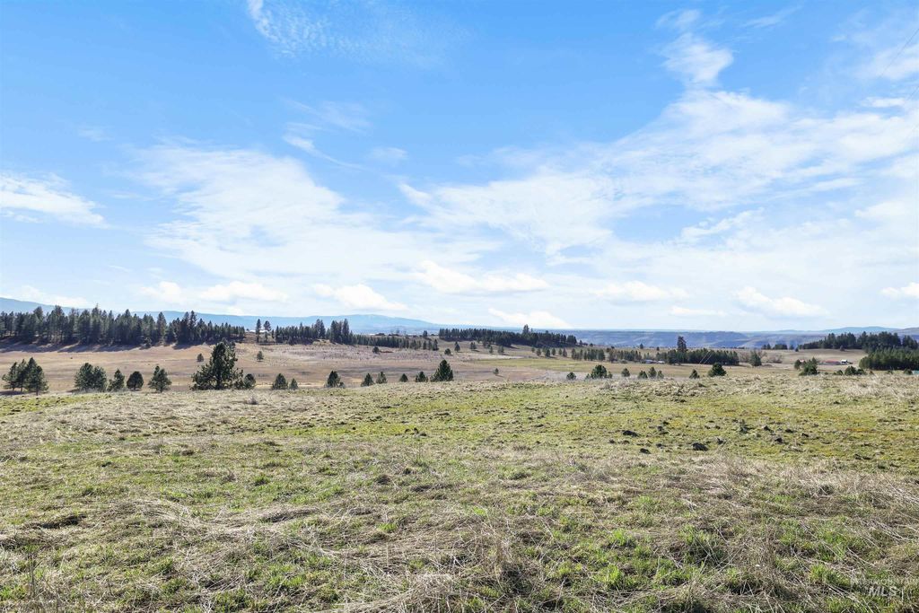 216 Ulmer Road, Kooskia, ID 83539 photo 46