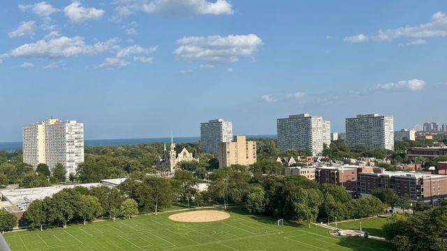 3001 S Michigan Avenue 1303, Chicago, IL 60616