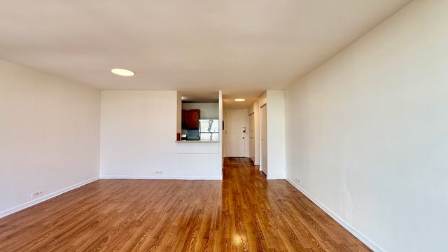 3001 S Michigan Avenue 1303, Chicago, IL 60616