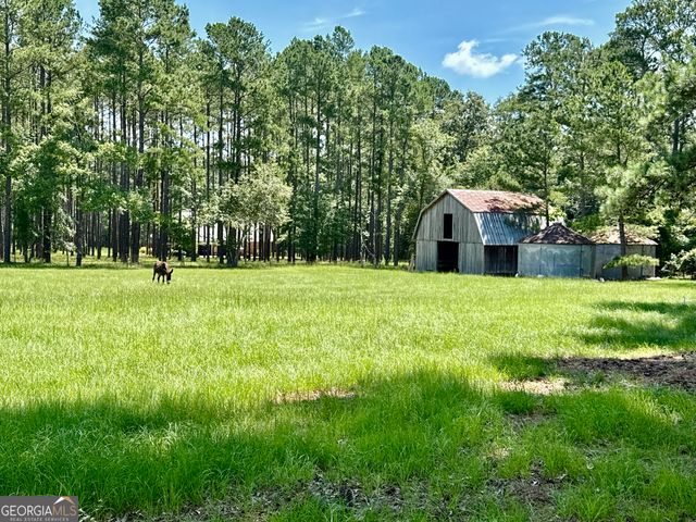 3978 WC Hodges Road, Statesboro, GA 30461