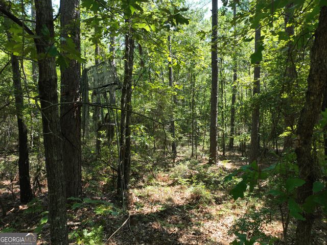 3978 WC Hodges Road, Statesboro, GA 30461