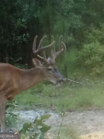 3978 WC Hodges Road, Statesboro, GA 30461