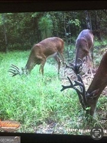 3978 WC Hodges Road, Statesboro, GA 30461