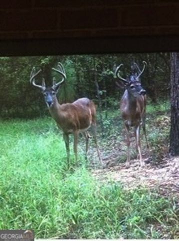 3978 WC Hodges Road, Statesboro, GA 30461