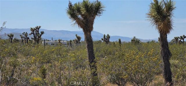 0 175th St E W14, Llano, CA 93591