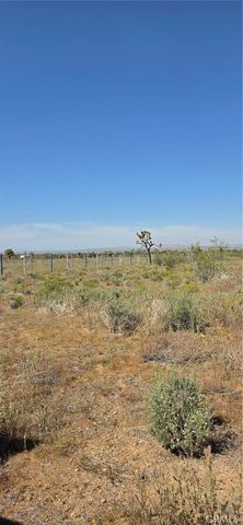 0 175th St E W14, Llano, CA 93591