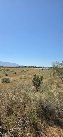 0 175th St E W14, Llano, CA 93591