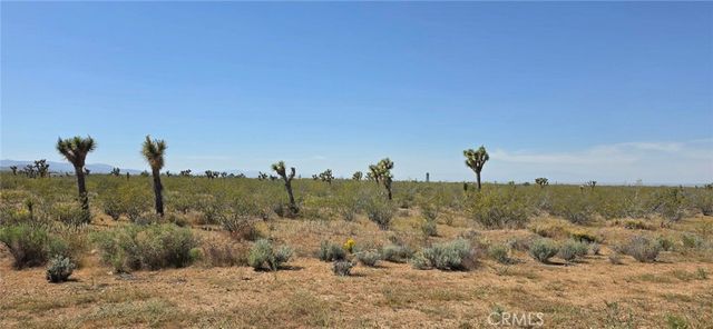 0 175th St E W14, Llano, CA 93591