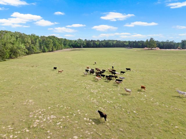 1018 County Road 4287, Winnsboro, TX 75494