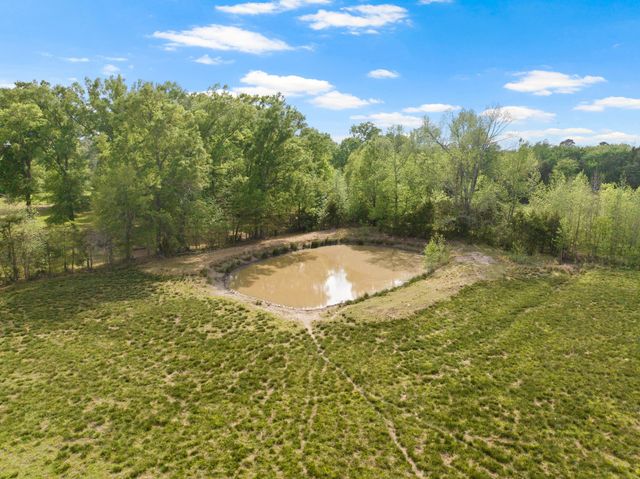 1018 County Road 4287, Winnsboro, TX 75494