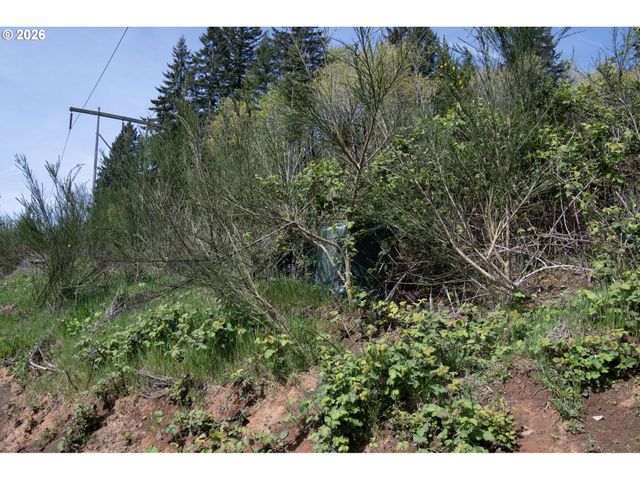 481 HANSEN Rd, Woodland, WA 98674