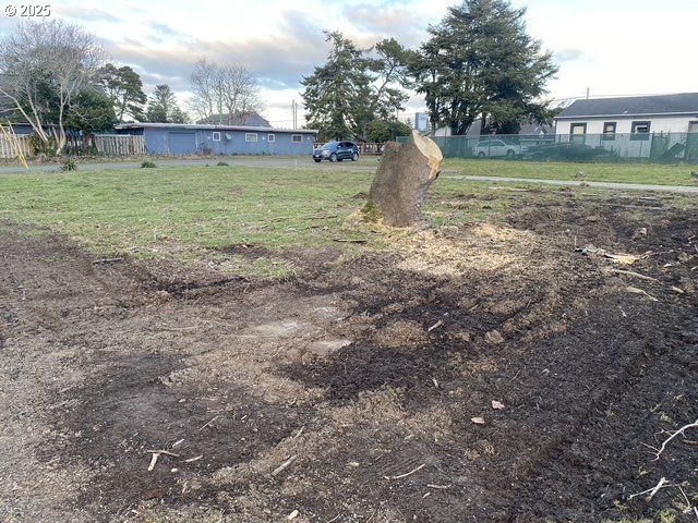 1204 37TH Pl, Seaview, WA 98644