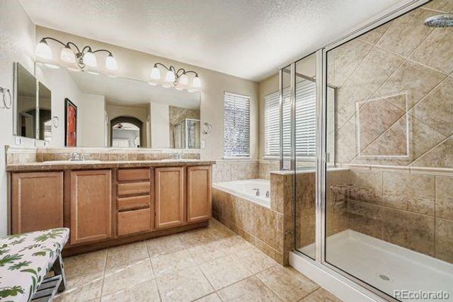 10916 Towerbridge Road, Highlands Ranch, CO 80130