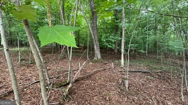 2081 Jerusalem Church Road, Jasper, GA 30143