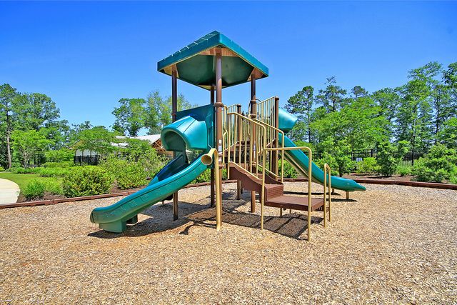 9831 Black Tupelo Lane, Ladson, SC 29456