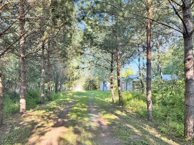 40884 Nature Avenue, Fleming Twp, MN 56431