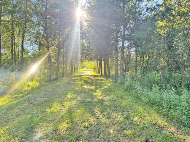 40884 Nature Avenue, Fleming Twp, MN 56431