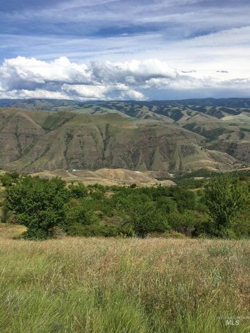 TBD Blue Grouse Rd, White Bird, ID 83554