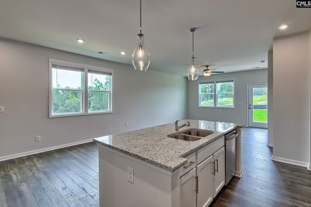292 Chapin Place Way, Chapin, SC 29036