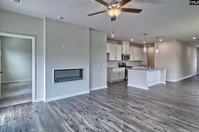 292 Chapin Place Way, Chapin, SC 29036