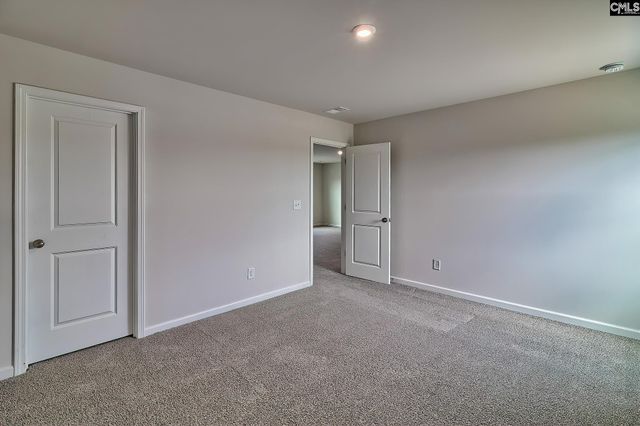 292 Chapin Place Way, Chapin, SC 29036