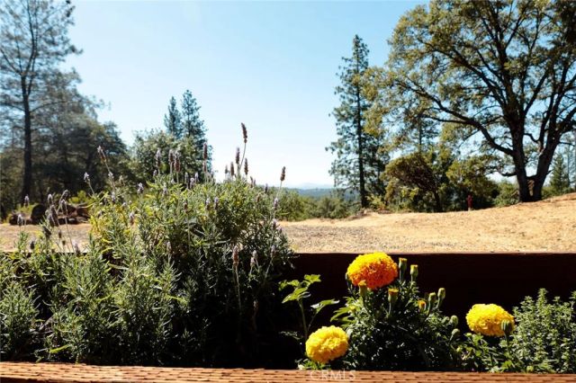 5333 Wilderness View Drive, Mariposa, CA 95338