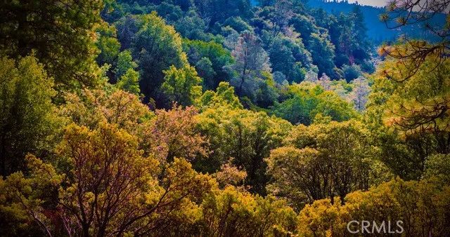 5333 Wilderness View Drive, Mariposa, CA 95338