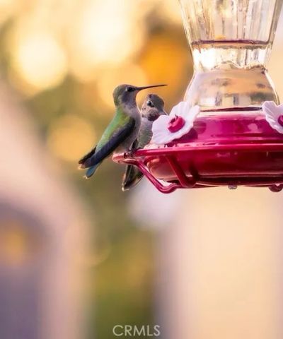 5333 Wilderness View Drive, Mariposa, CA 95338