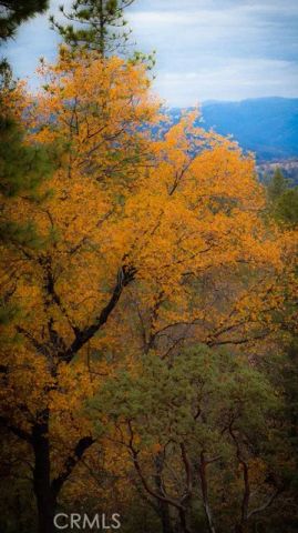 5333 Wilderness View Drive, Mariposa, CA 95338