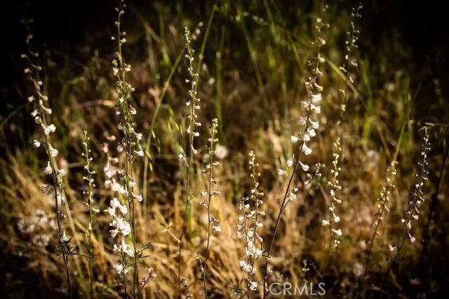 5333 Wilderness View Drive, Mariposa, CA 95338