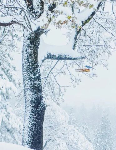 5333 Wilderness View Drive, Mariposa, CA 95338