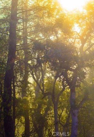 5333 Wilderness View Drive, Mariposa, CA 95338