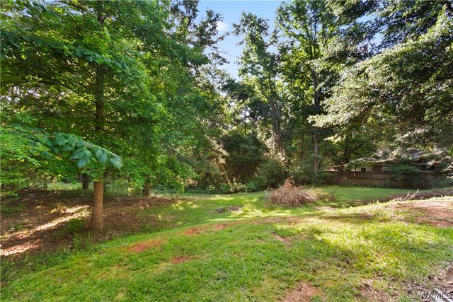 17722 Buckhorn, Northport, AL 35475