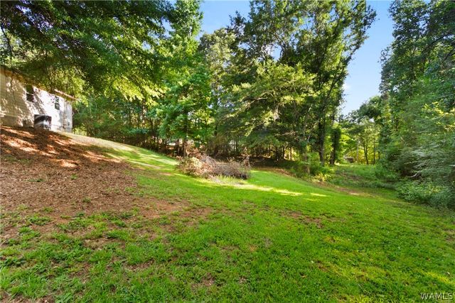 17722 Buckhorn, Northport, AL 35475