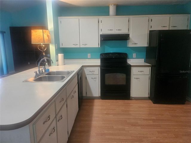 650 W DIAMONDBIRD LOOP 650, Hernando, FL 34442