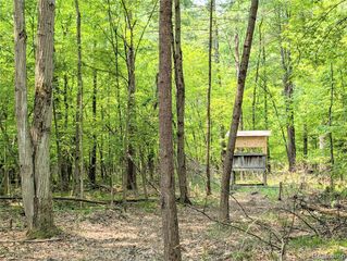 VL Pinelands Road, Gladwin, MI 48624