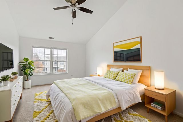 2604 Sheehan Court 204, Naperville, IL 60564