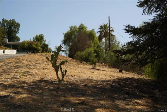 22636 Avenue San Luis, Woodland Hills, CA 91364