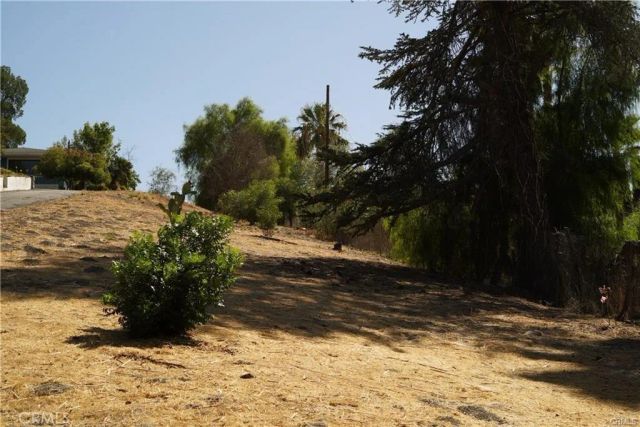 22636 Avenue San Luis, Woodland Hills, CA 91364