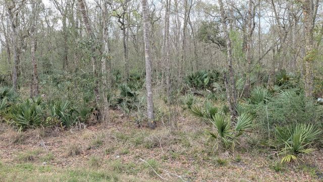 19910 County Road 684a, Sweeny, TX 77480