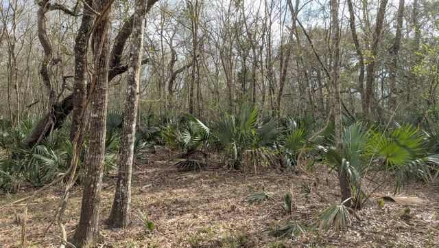 19910 County Road 684a, Sweeny, TX 77480