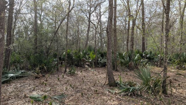 19910 County Road 684a, Sweeny, TX 77480