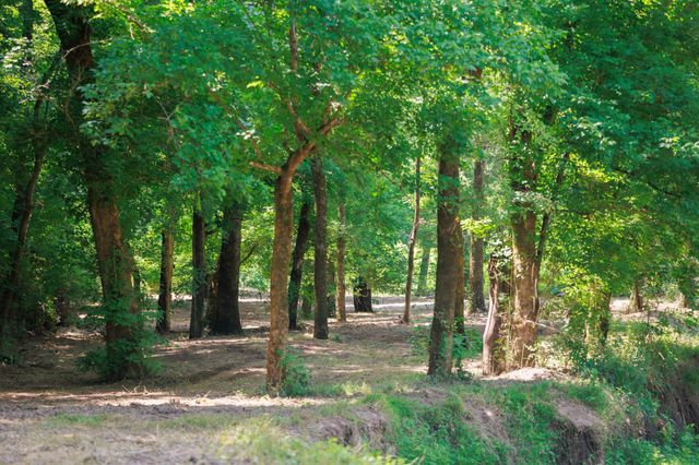4335 Highway 48, N, Nunnelly, TN 37137